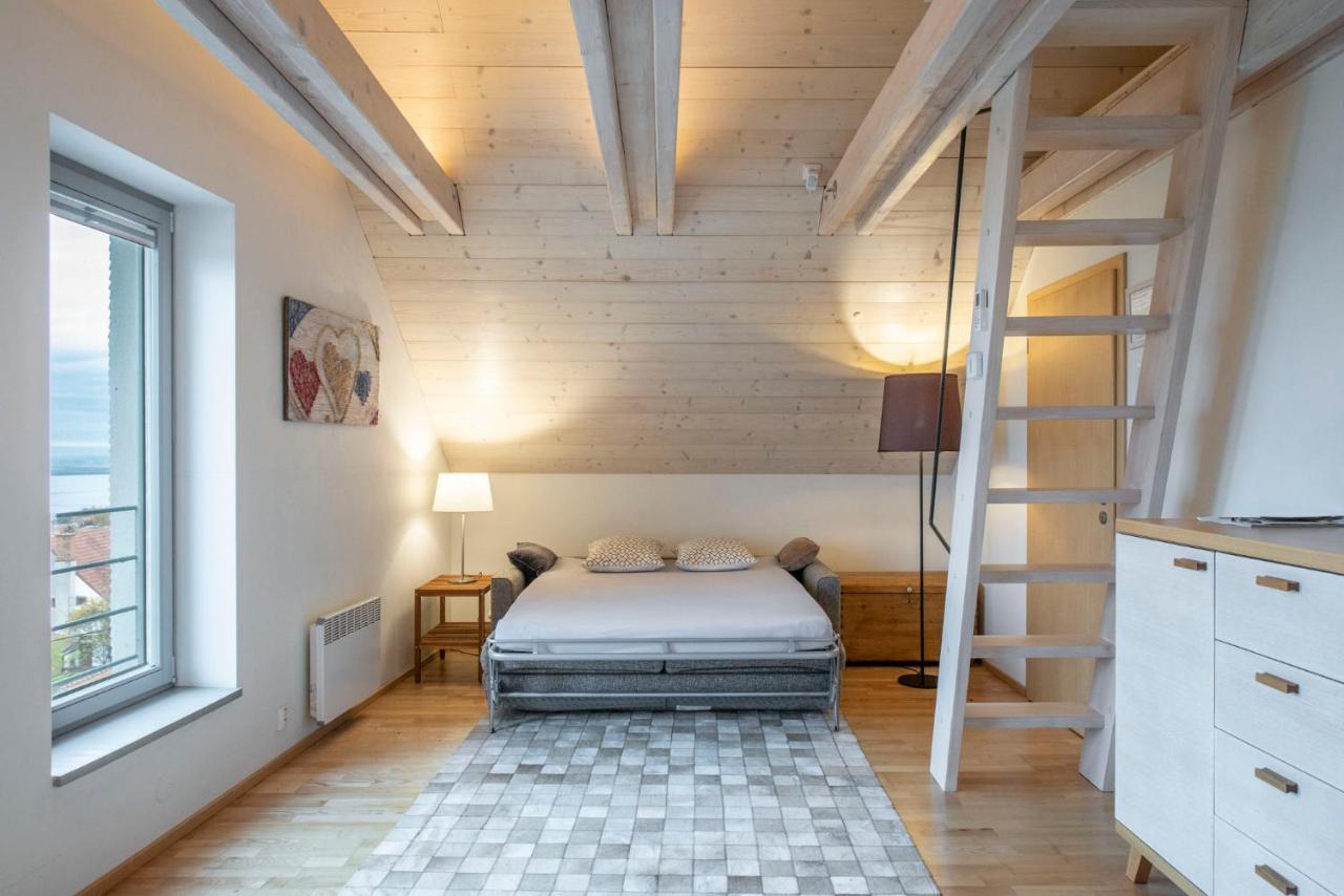 Apartman Se Sklipkem 巴甫洛夫 外观 照片