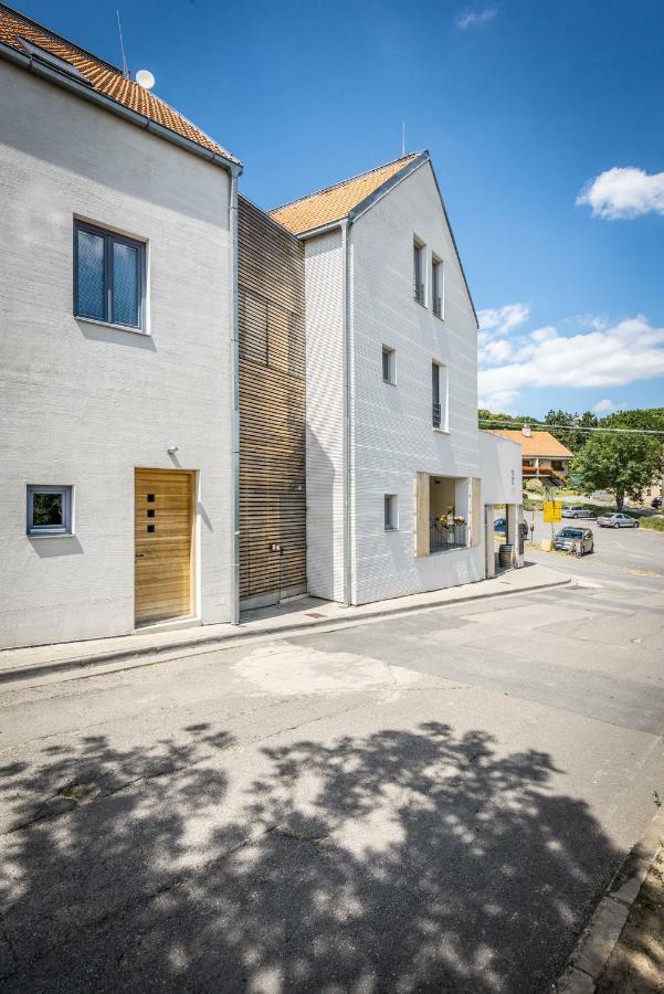 Apartman Se Sklipkem 巴甫洛夫 外观 照片